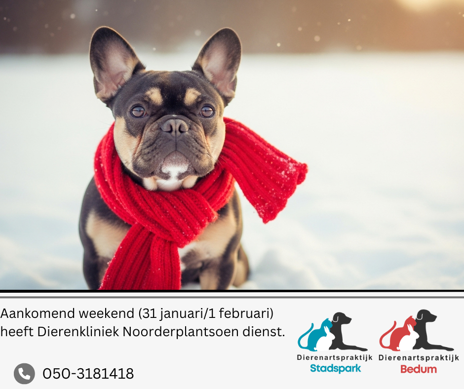 Copy of Copy of Copy of Ivory Simple Positive Motivational Quote Ripped Facebook Post 4