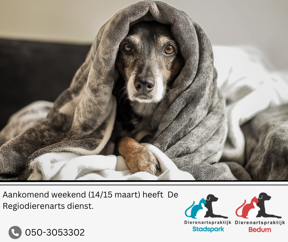 Weekenddienst Bedum Stadspark 2