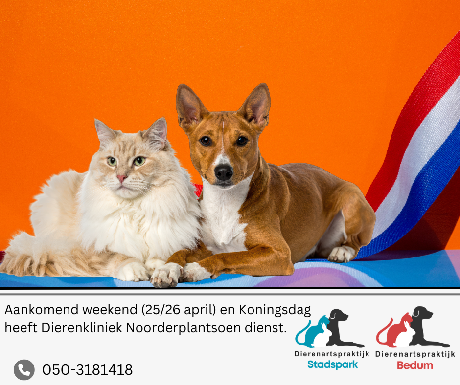 Weekenddienst Bedum Stadspark 6