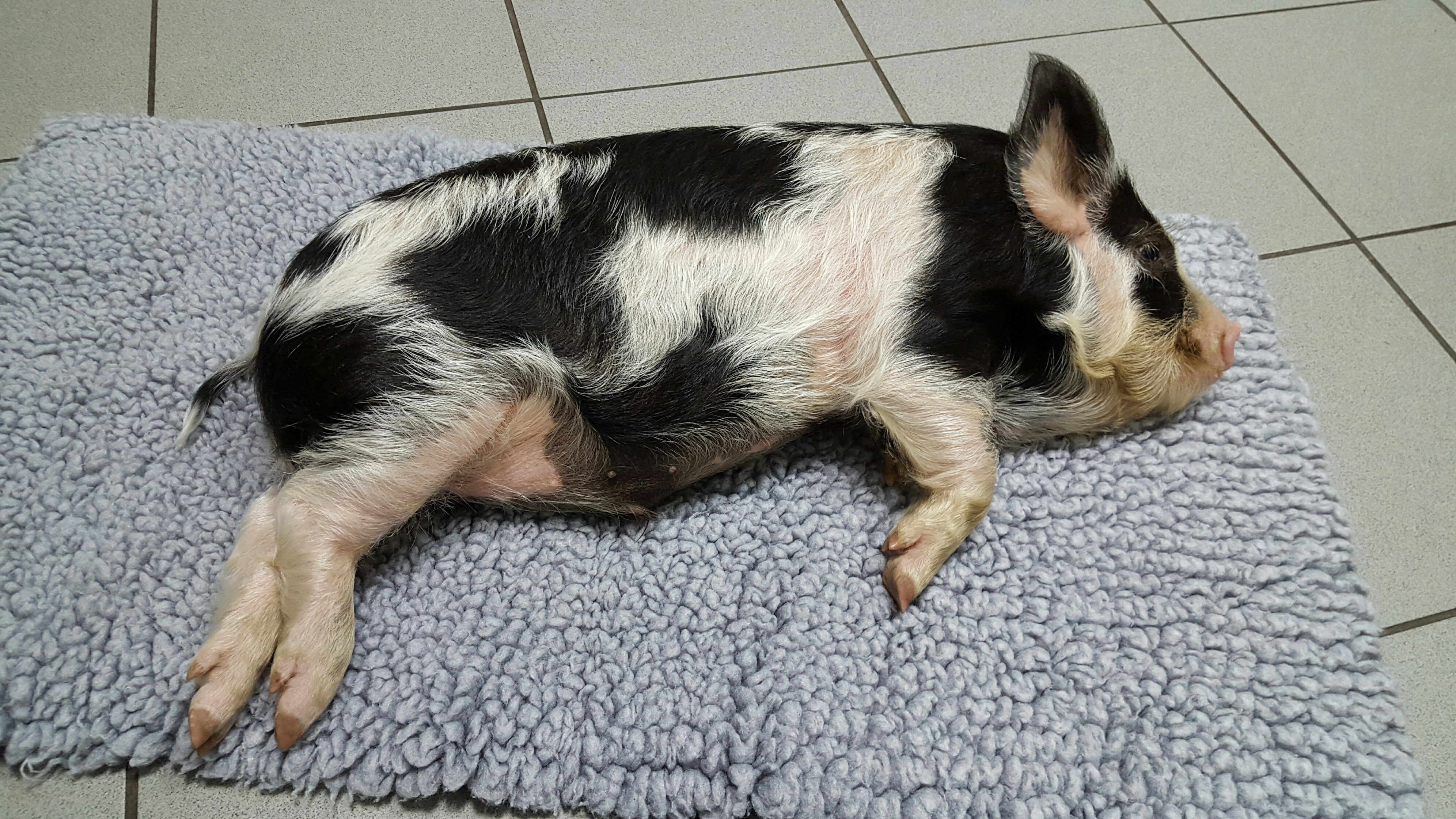 20151105 094632 resized