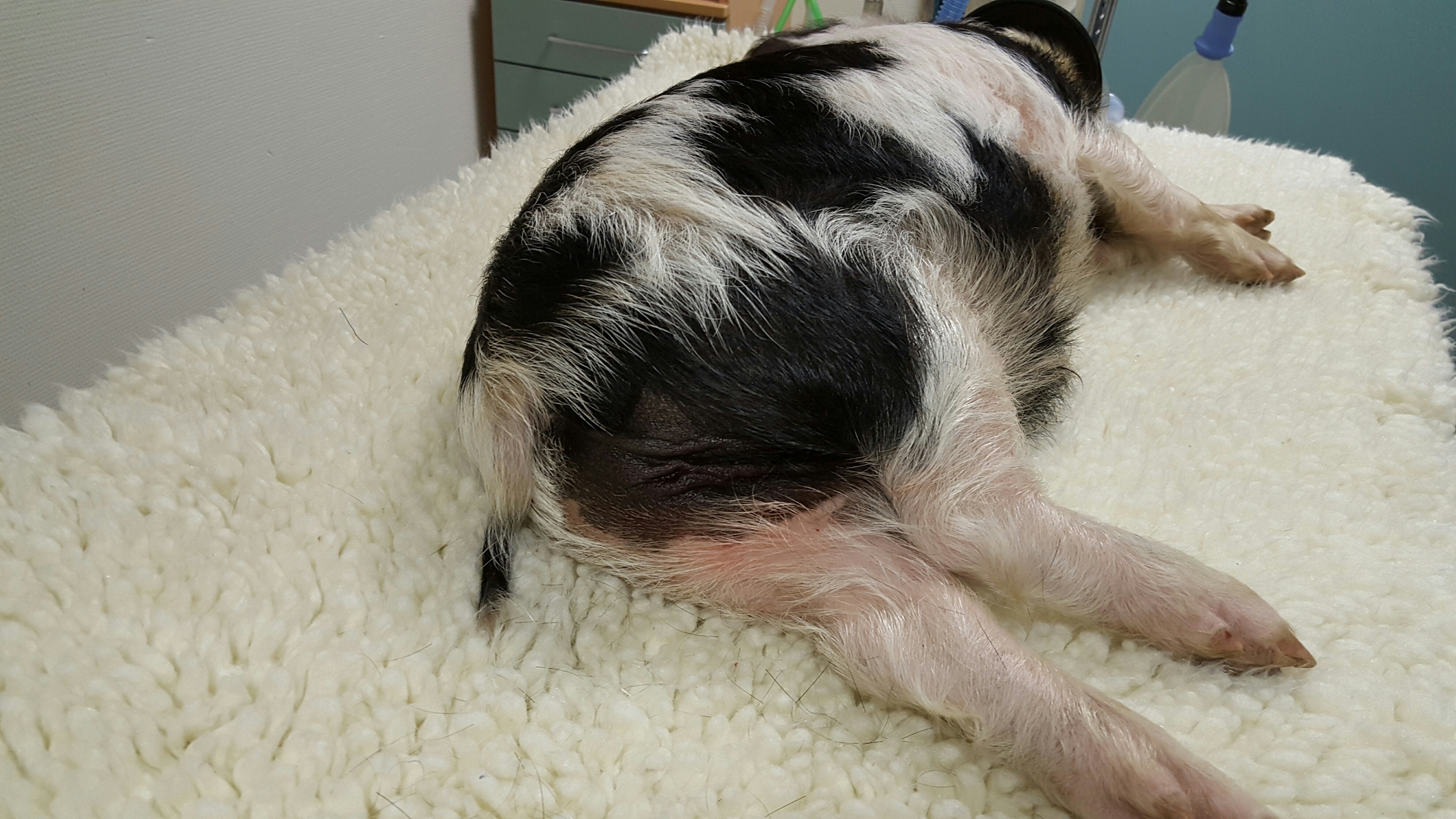 20151105 100217 resized