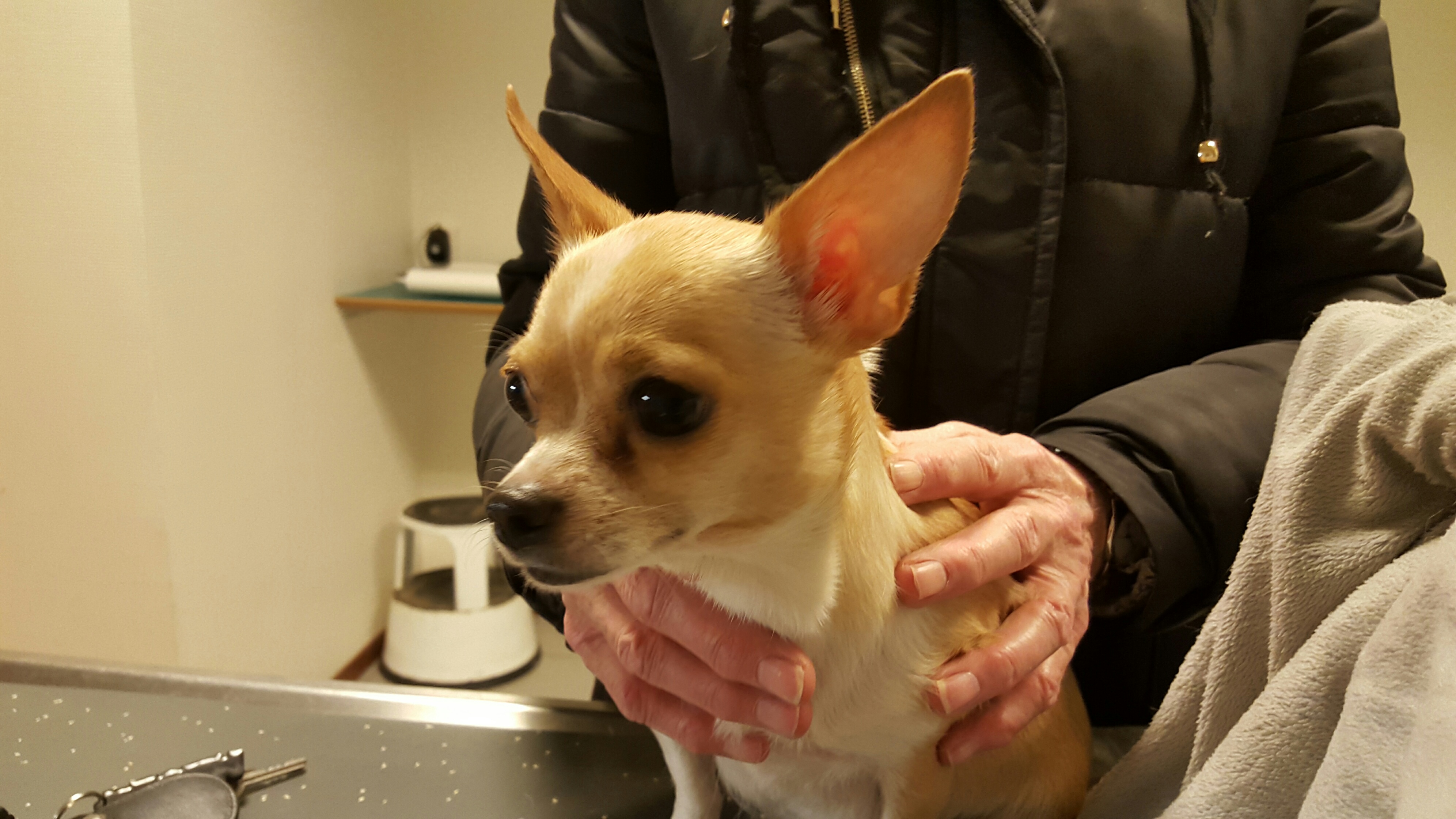 20160309 175253 resized