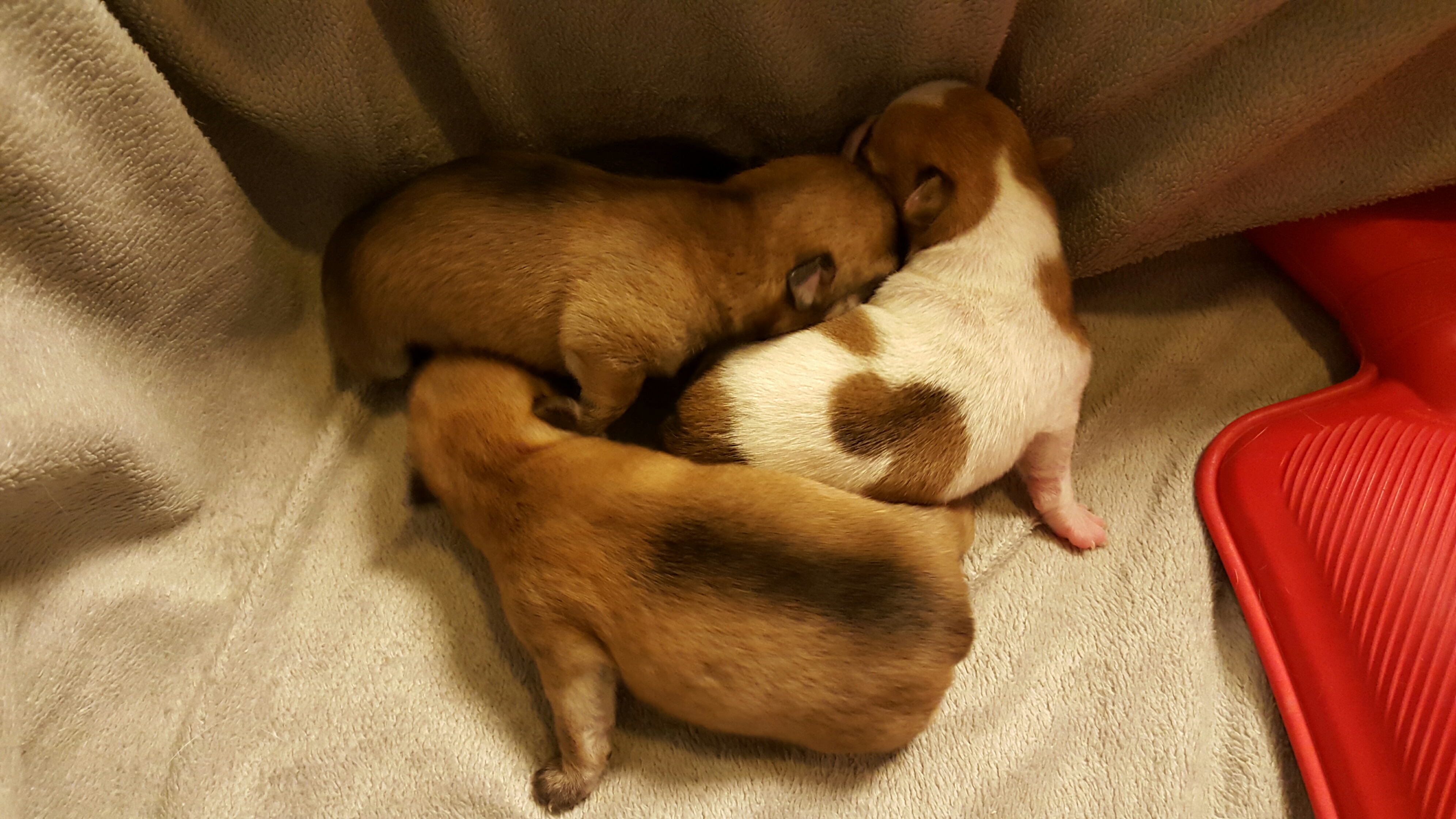 20160309 175317 resized