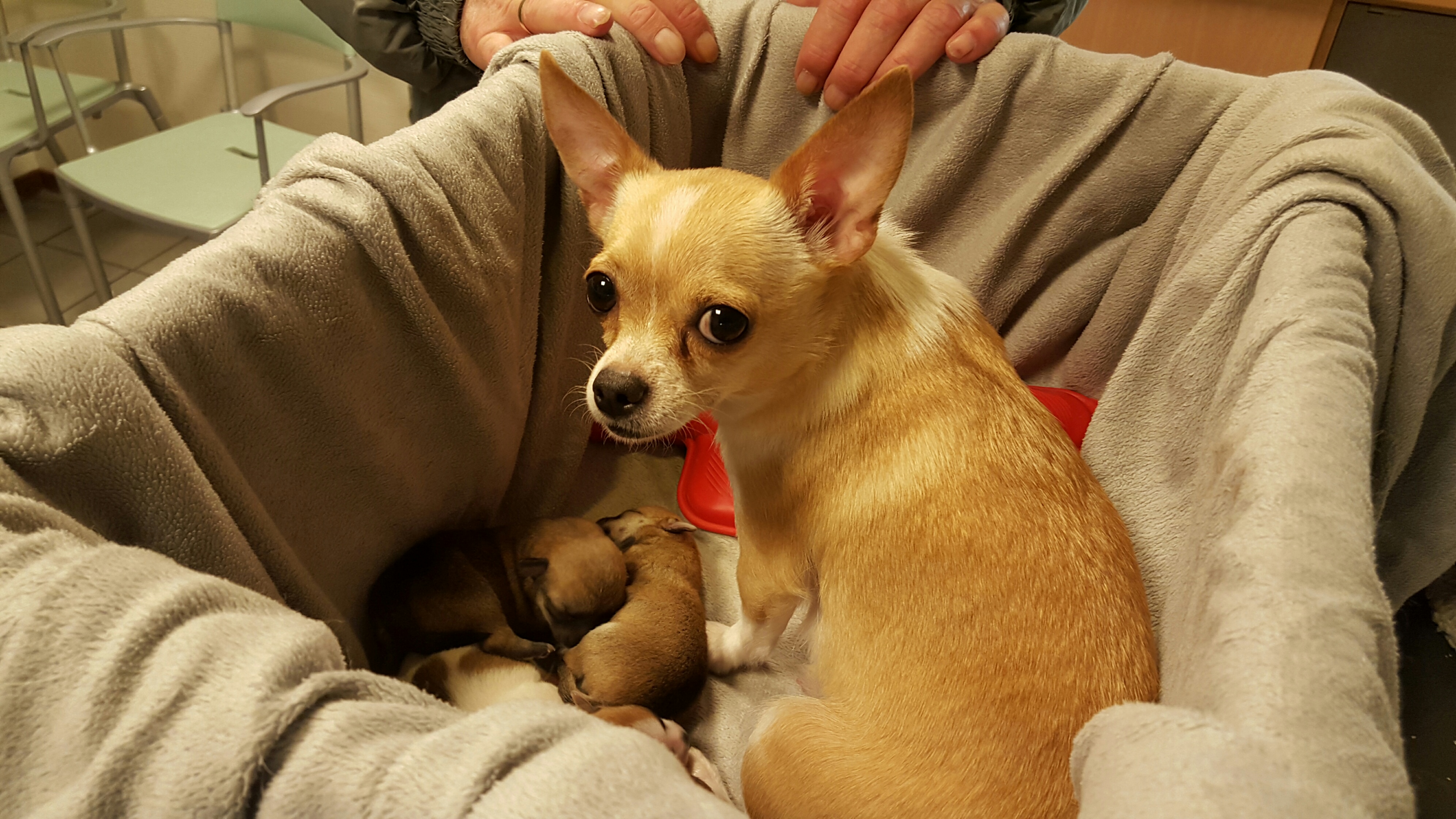 20160309 175451 resized