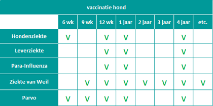 vaccinatieschema1