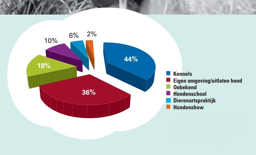 Kennelhoest4