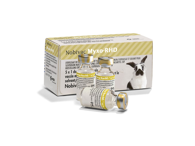 myxo-rhd