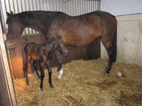 img 8606