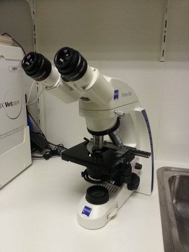 Microscoop