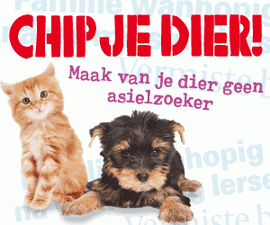 chipmaand2012