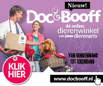DocBooff Intro banner-336x280