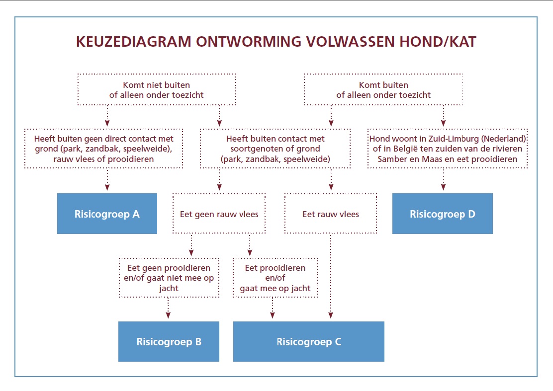 Keuzediagram-ontwormen