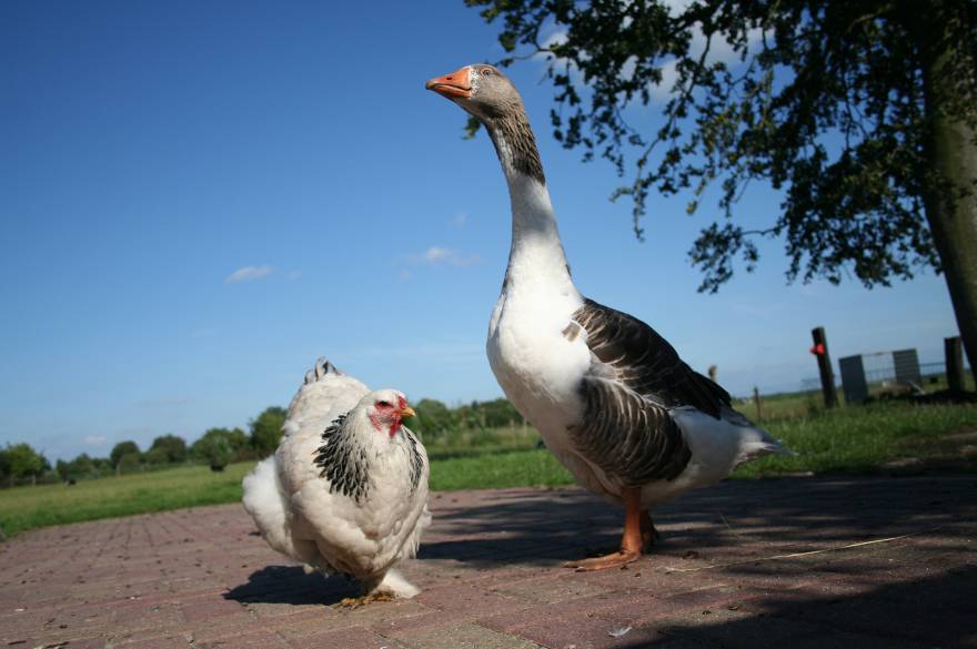 jantienmaarten2