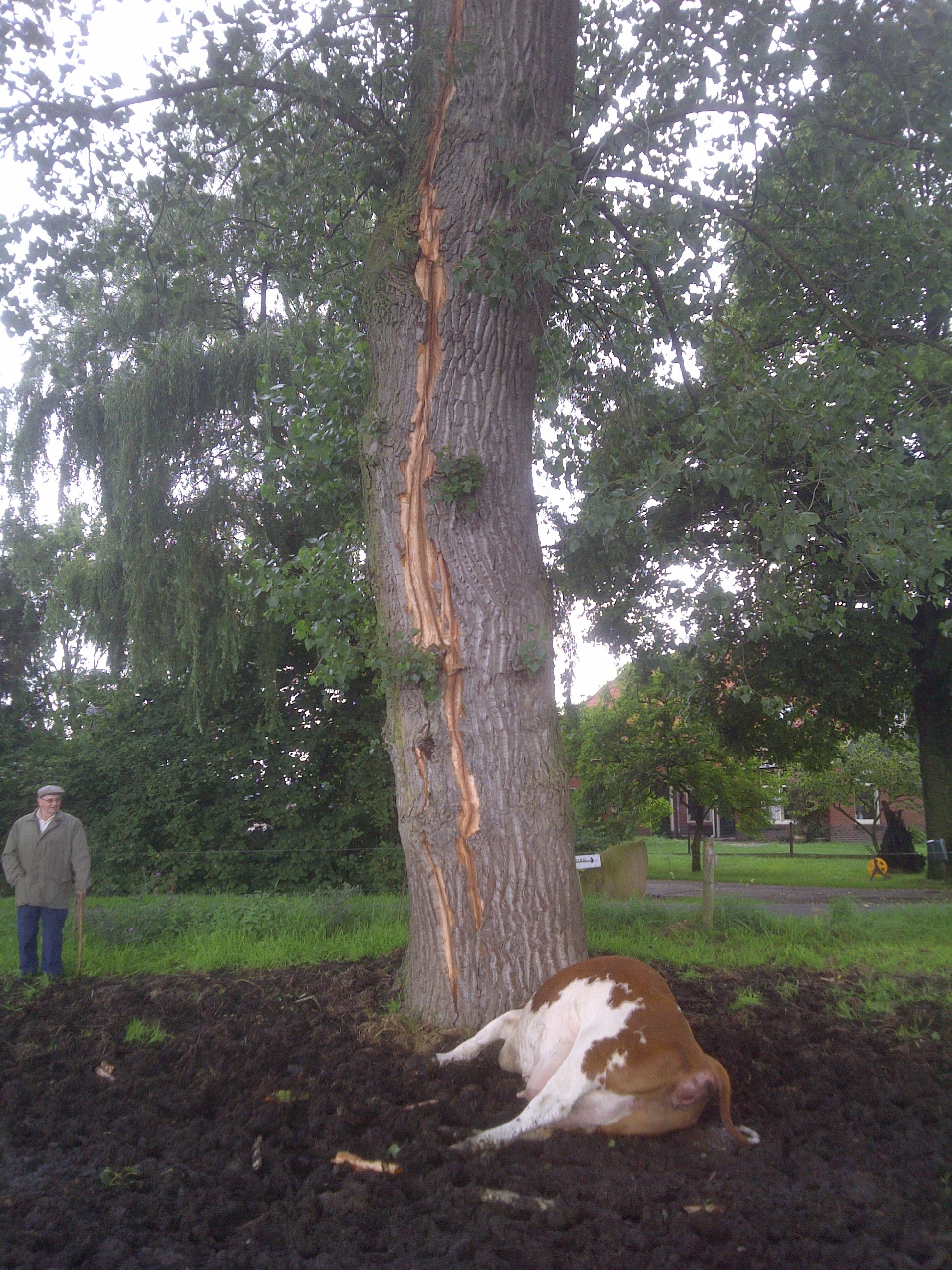 haren-20120802-00088
